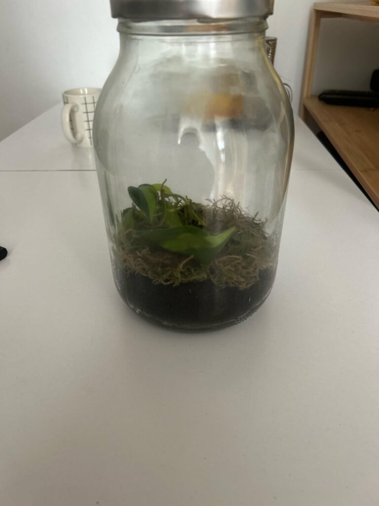 It's my first time doing one of those any tips?