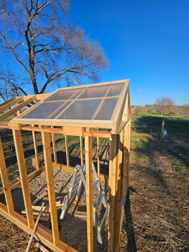 The Greenhouse re-build thoughts and Suggestions welcomed! The Greenhouse re-build thoughts and Suggestions welcomed!