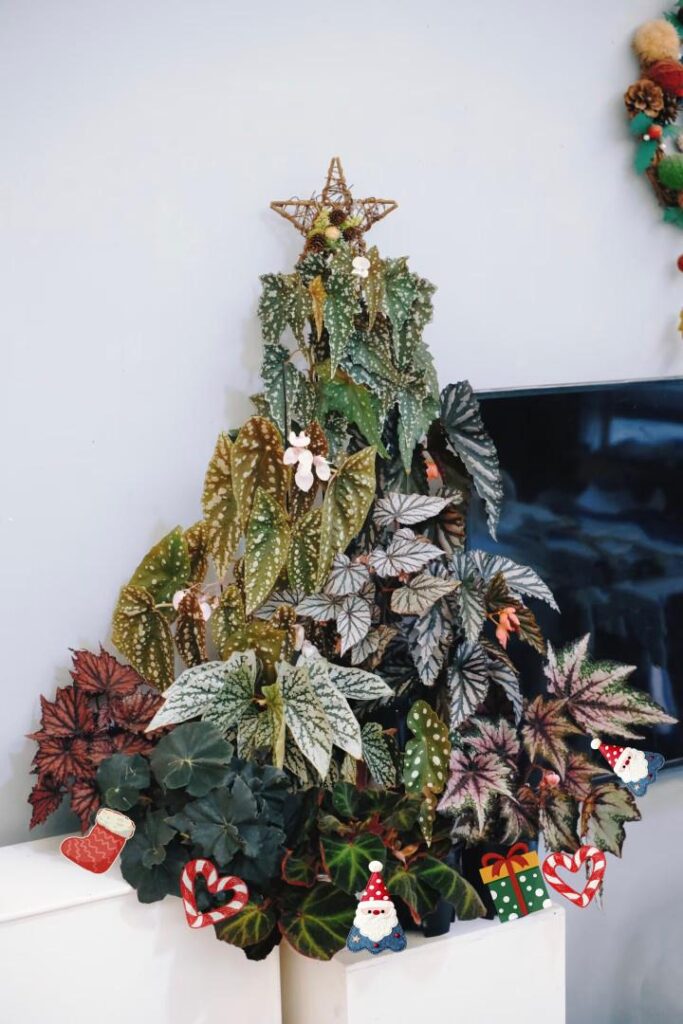 Made a christmas tree! Who needs a pine tree?