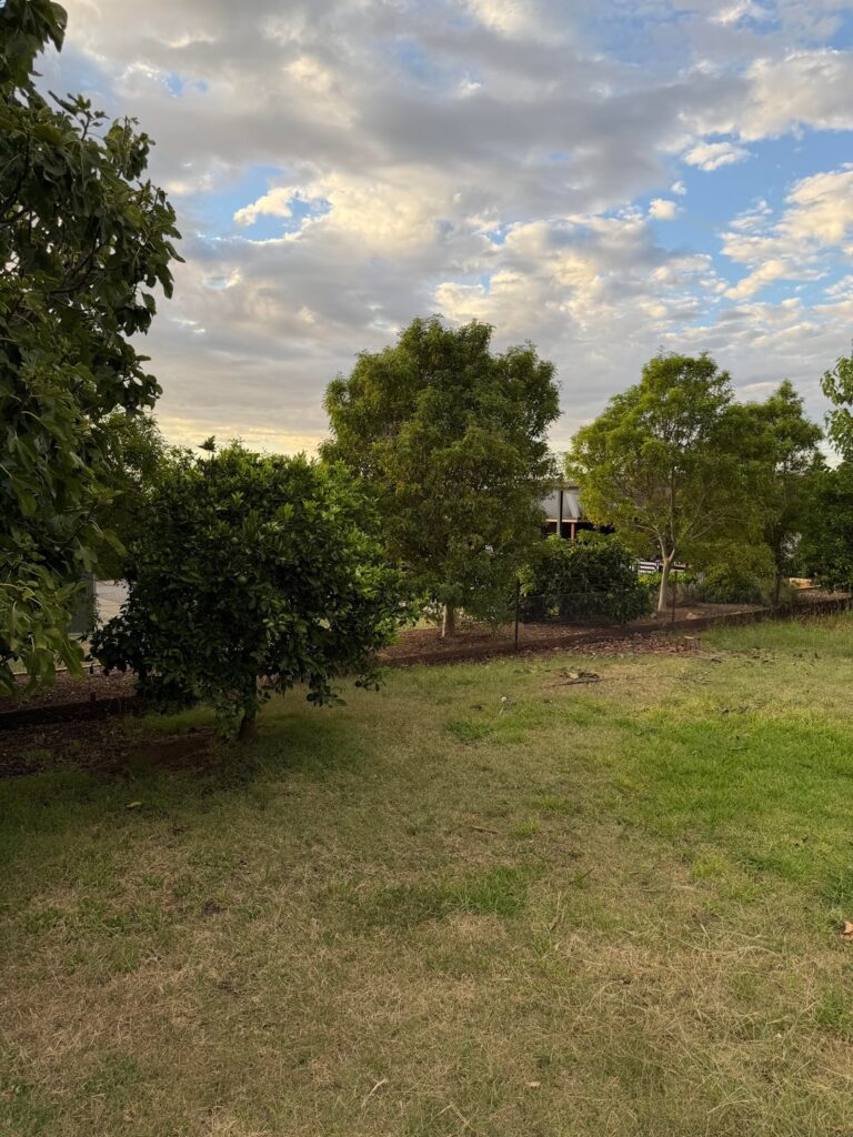 Suggestions on how to level this area out for raised garden beds? Suggestions on how to level this area out for raised garden beds?
