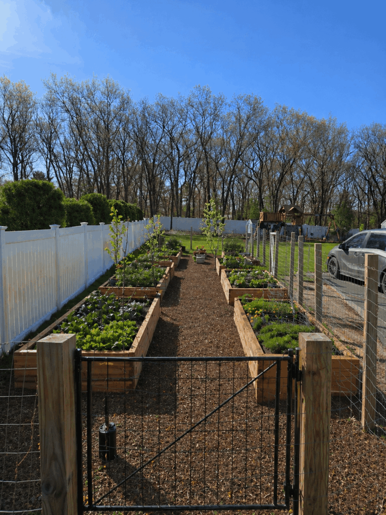 Any idea what this raised bed garden would cost?