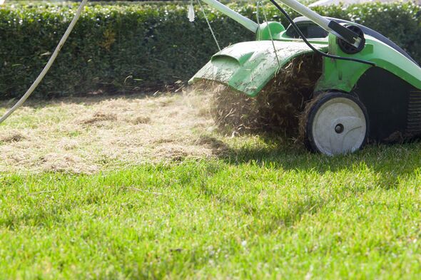 Scarifying machine. Scarification of the lawn. Scarifying machine. Scarification of the lawn.