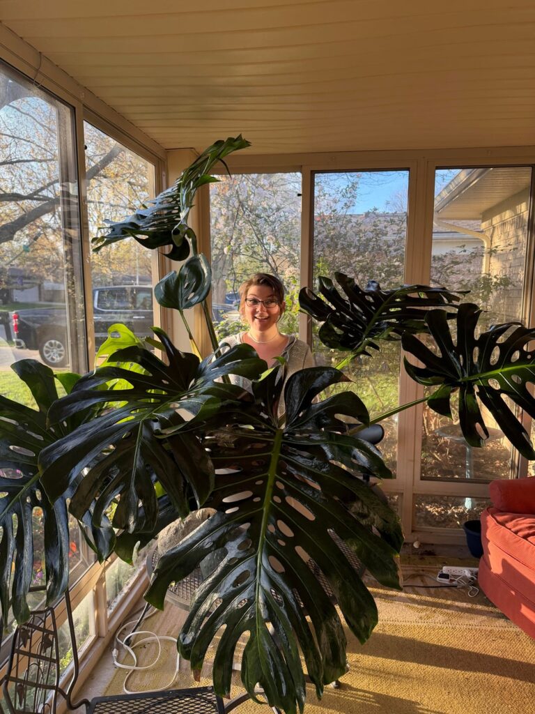 Wife got this beauty for free!