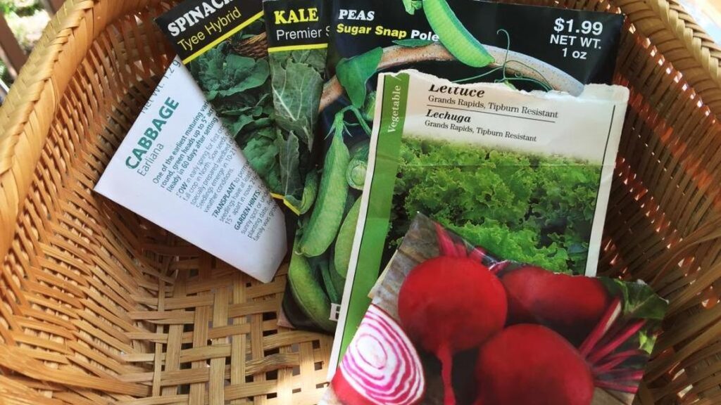 Gardens in Boise ID: Spring planting, soil & pest control Gardens in Boise ID: Spring planting, soil & pest control