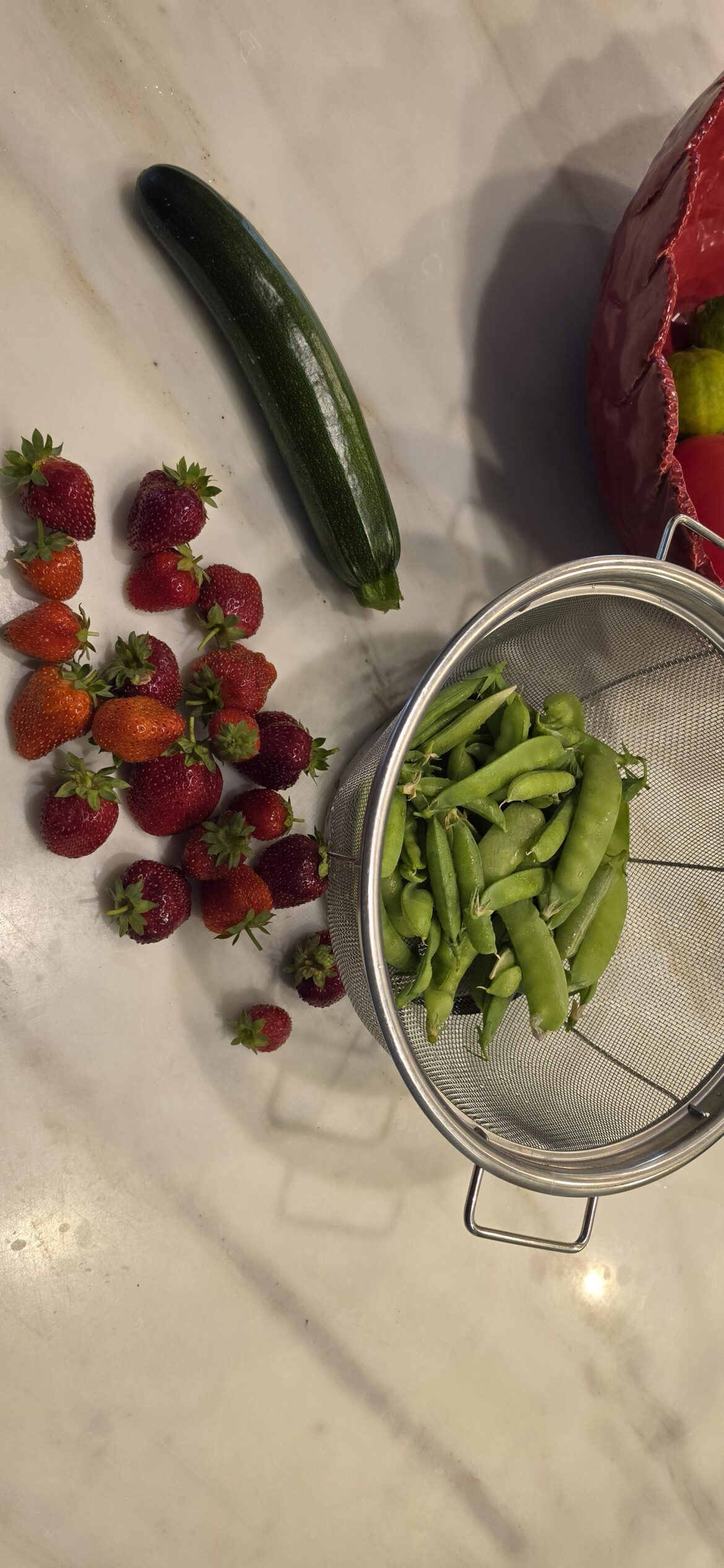 My first outdoor garden harvest!!
