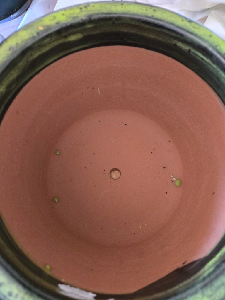 Can I put soil directly into this pot or do I need to use a plastic pot first? Can I put soil directly into this pot or do I need to use a plastic pot first?