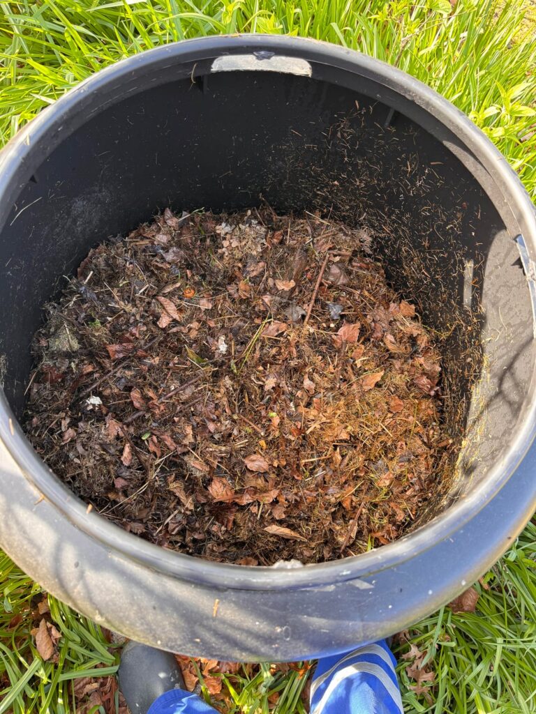How is my first compost pile doing after 3 months?