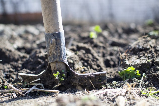 Call Before You Dig: Xcel Urges 811 Use as Gardening Season Begins Call Before You Dig: Xcel Urges 811 Use as Gardening Season Begins