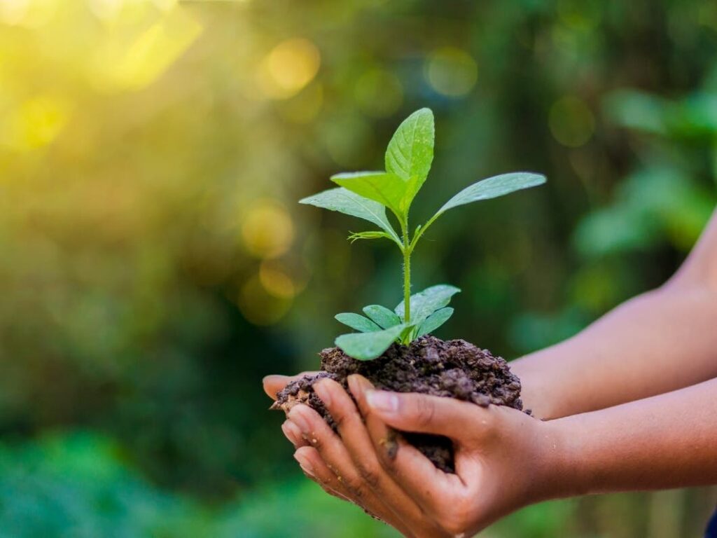 2 Princeton Schools Win Sustainability Grants For Garden, Pollinator Bed Upgrades 2 Princeton Schools Win Sustainability Grants For Garden, Pollinator Bed Upgrades