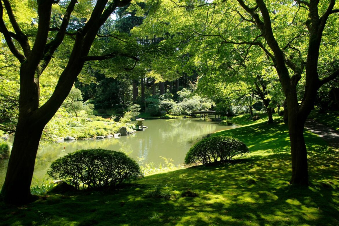 All the botanical gardens you can check out in Metro Vancouver All the botanical gardens you can check out in Metro Vancouver