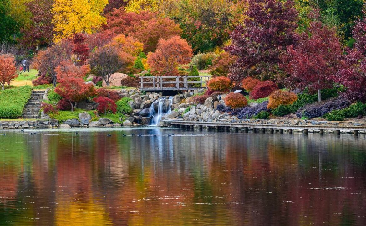 This Massive 65-Hectare Garden Is Absolutely Ablaze With Autumn Colour – Just 2.5 Hours From Sydney
