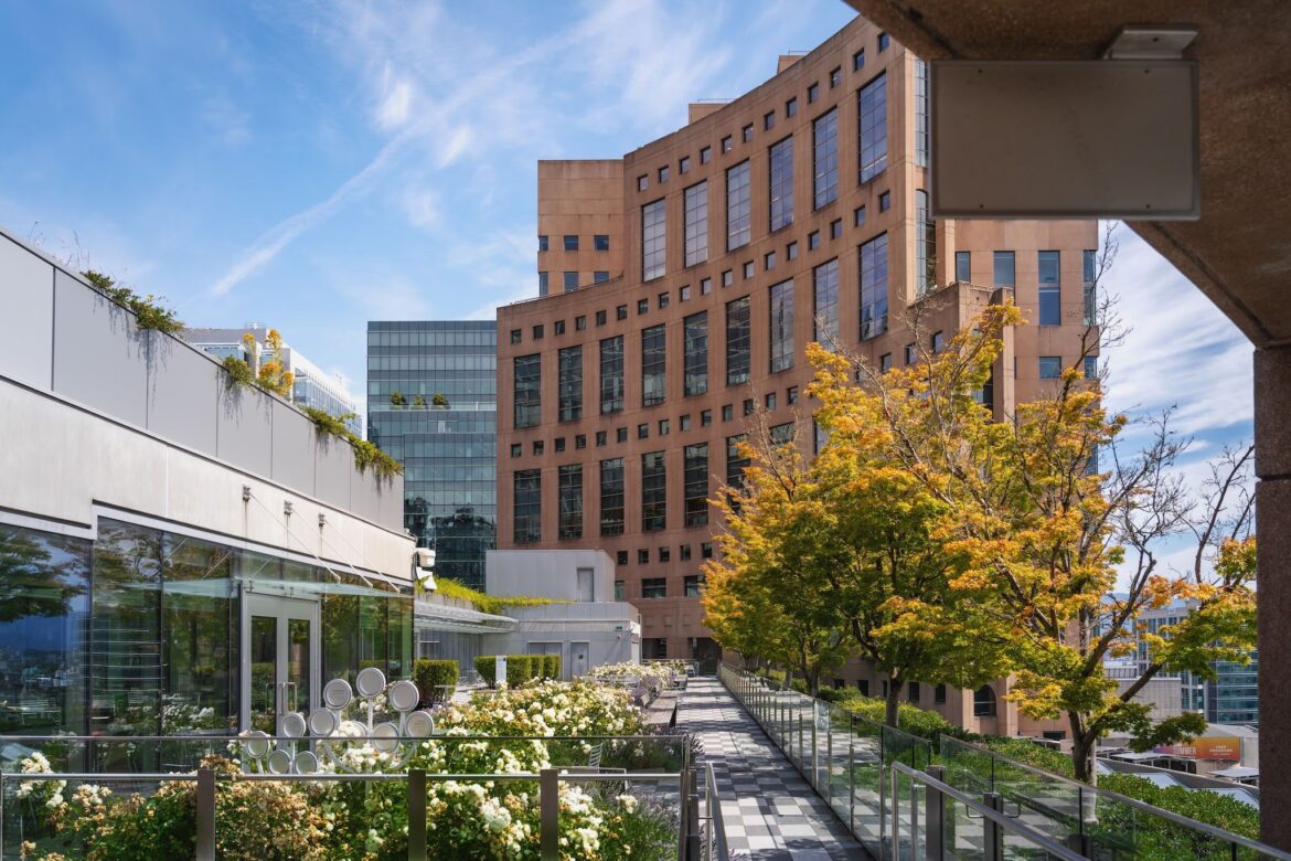 There’s a free rooftop patio atop the Vancouver Public Library There's a free rooftop patio atop the Vancouver Public Library