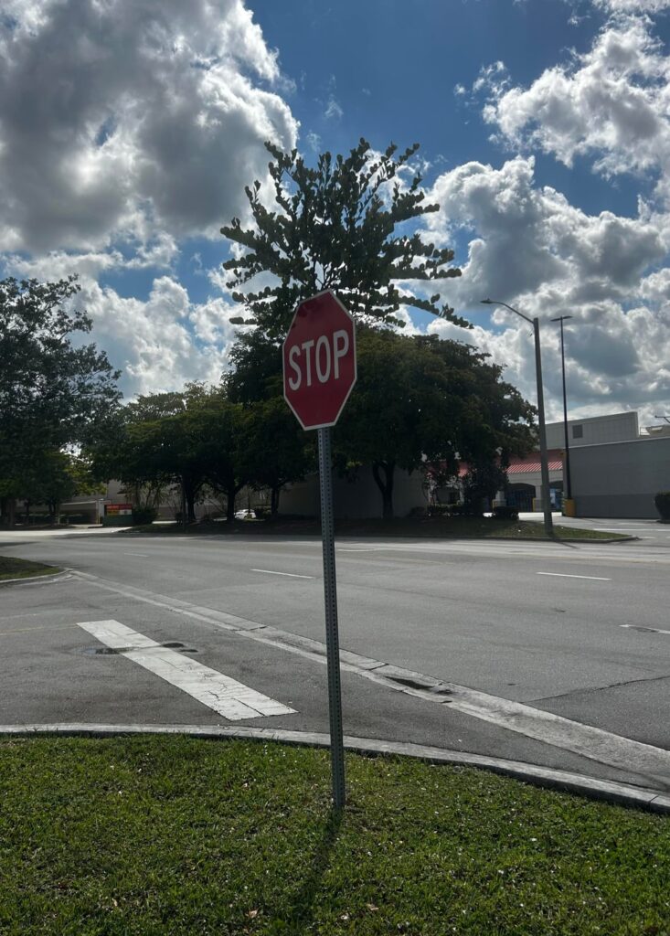 The elusive Stop Sign Tree!
