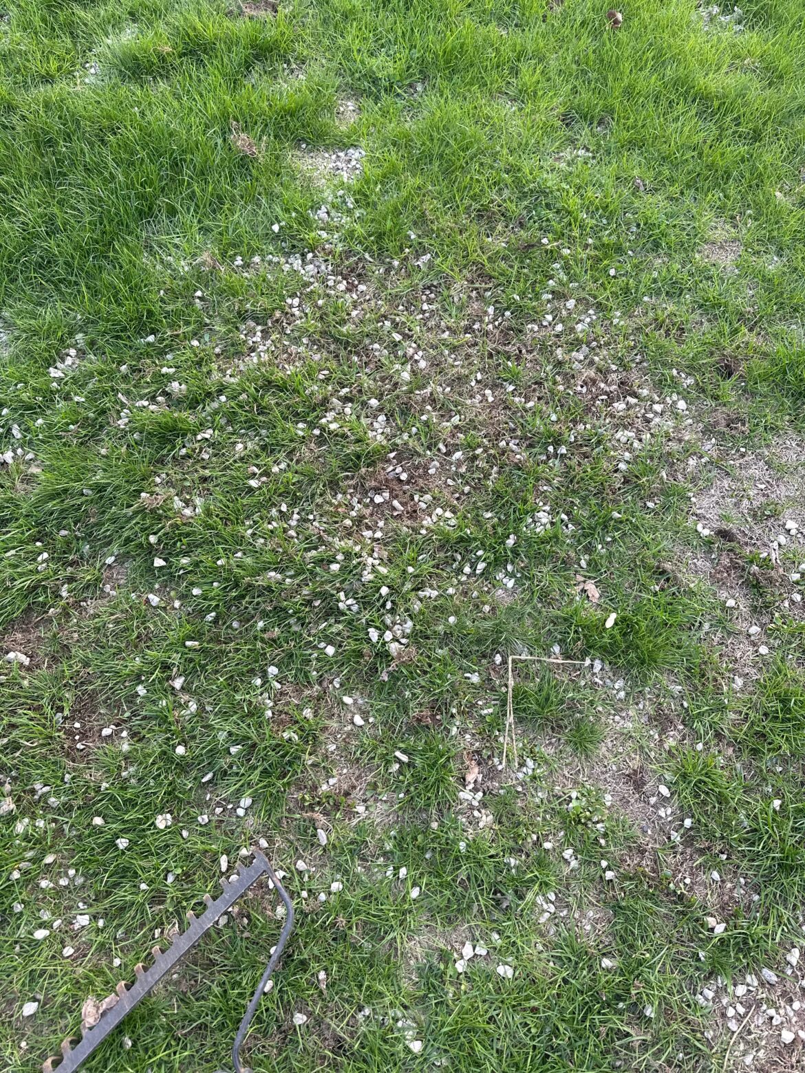 What’s the best and fastest way to remove rocks and pebbles from lawn?