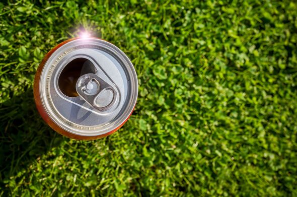 Soda can on grass Soda can on grass