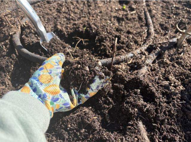 Good soil can make or break your garden. Yolo County Health and Human Services Agency will host a free interactive class with UC Master Gardener Treva Valentine for residents of Yolo County.