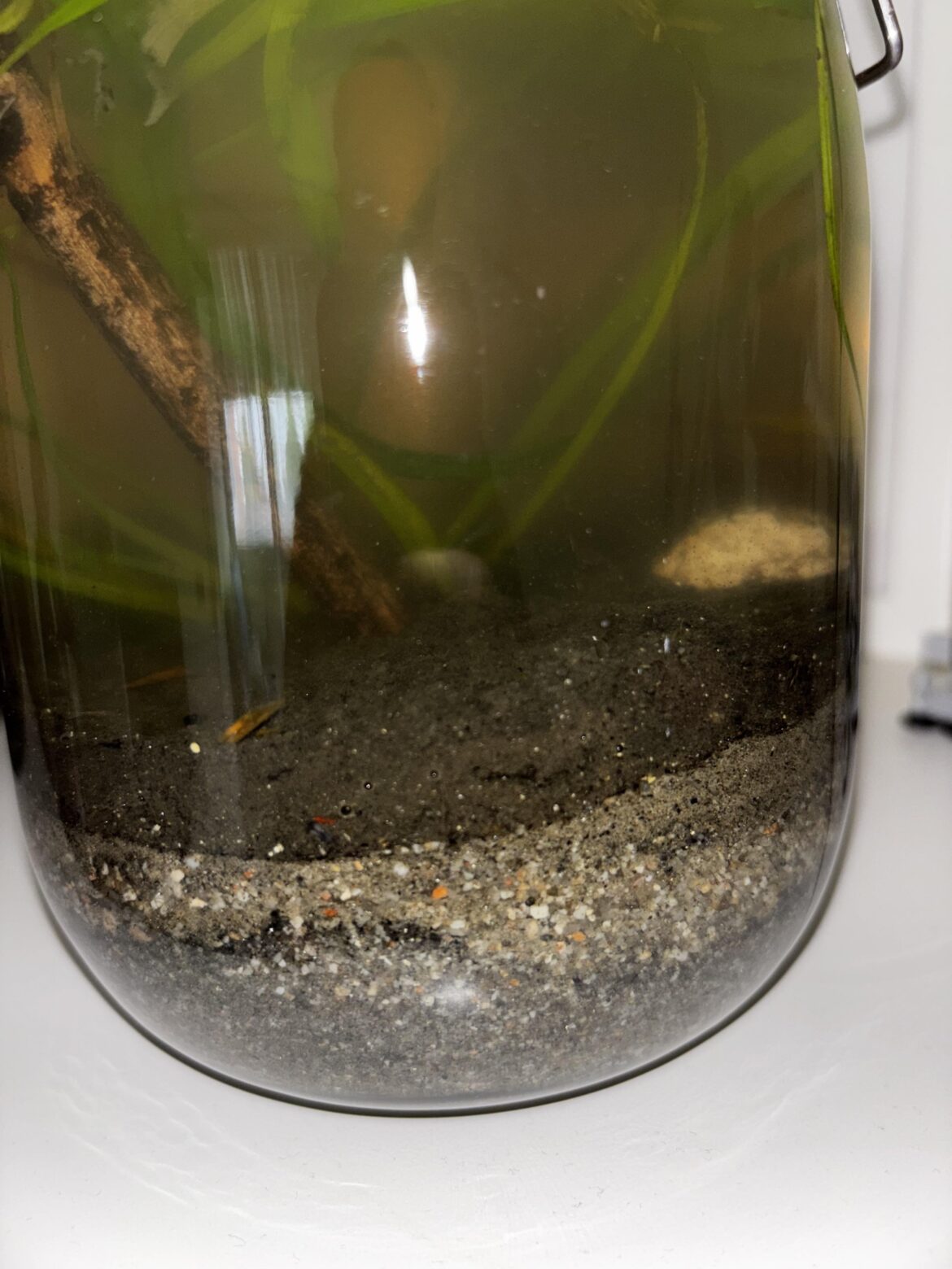 First time - Is this normal?