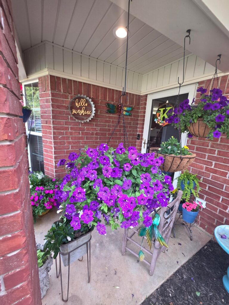 Spring in Texas