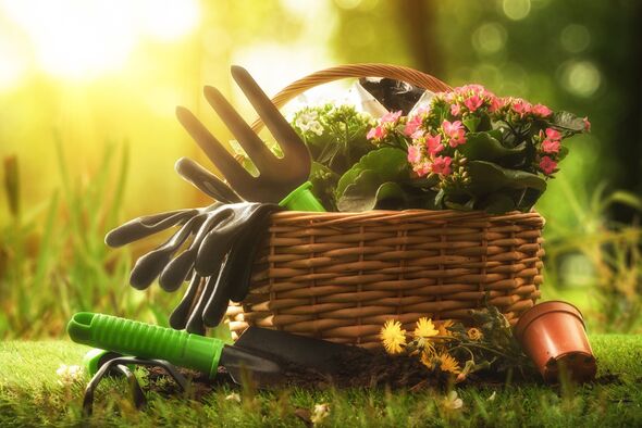 Spring Gardening Tools and Flowers in Wicker Basket