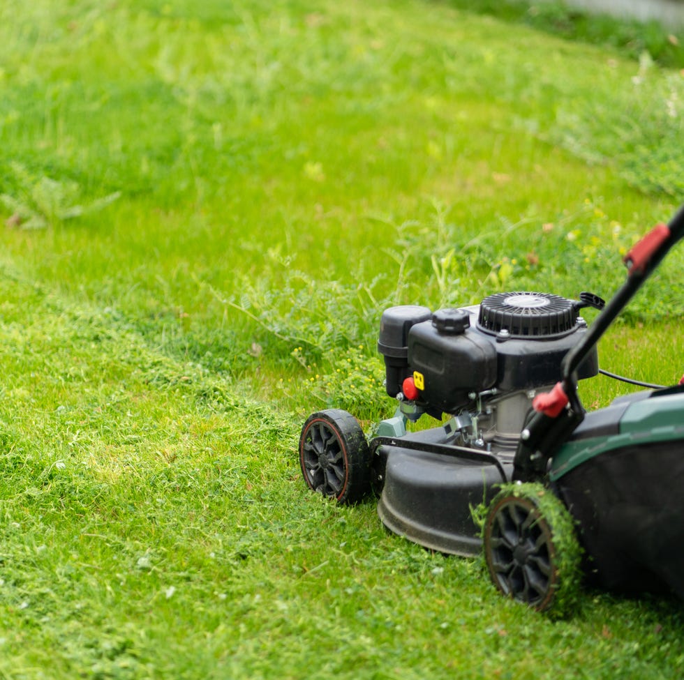 Mowing the grass mowing the grass
