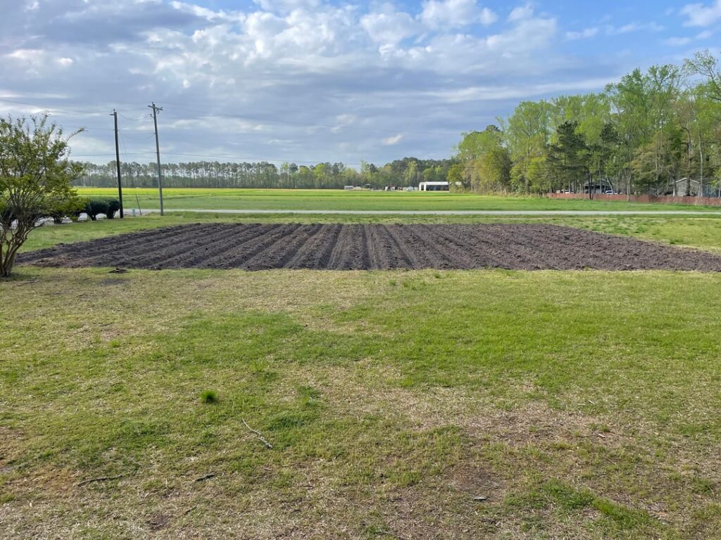 The more flowers I plant, the less grass I have to mow!