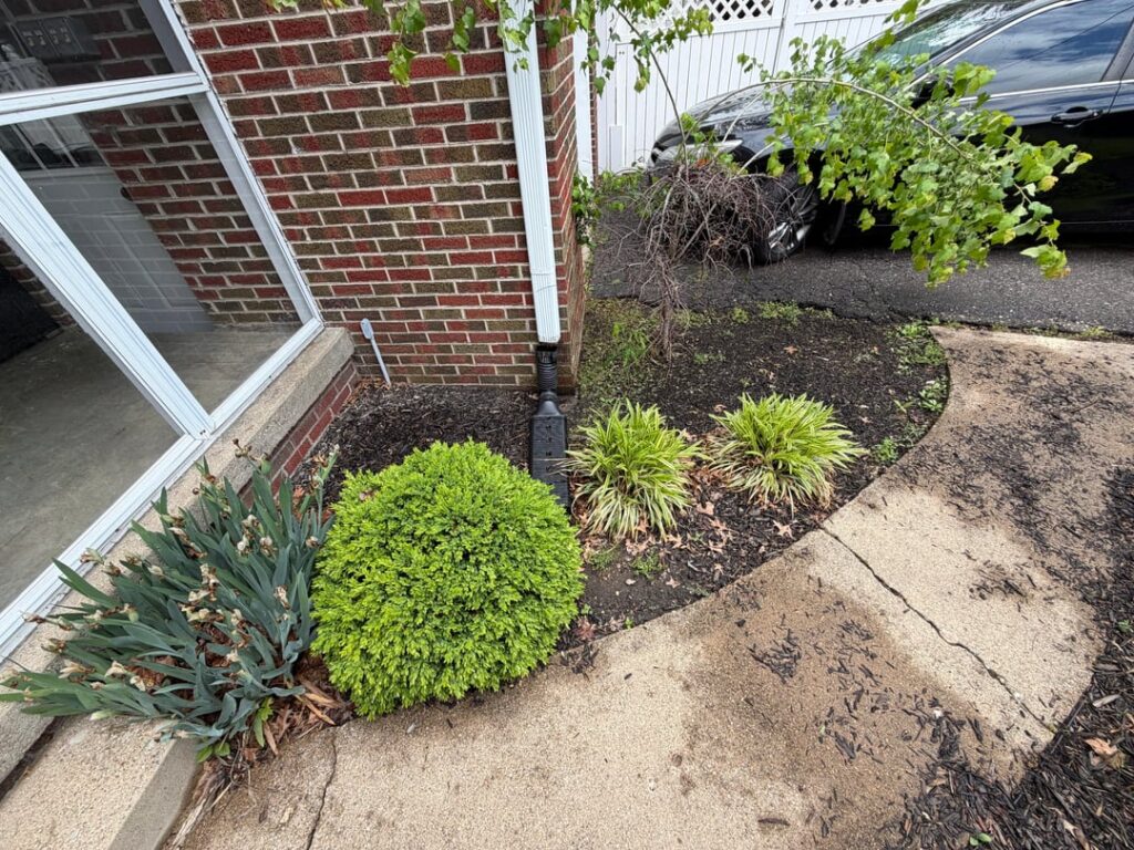 Mulchbed Flooding Mulchbed Flooding