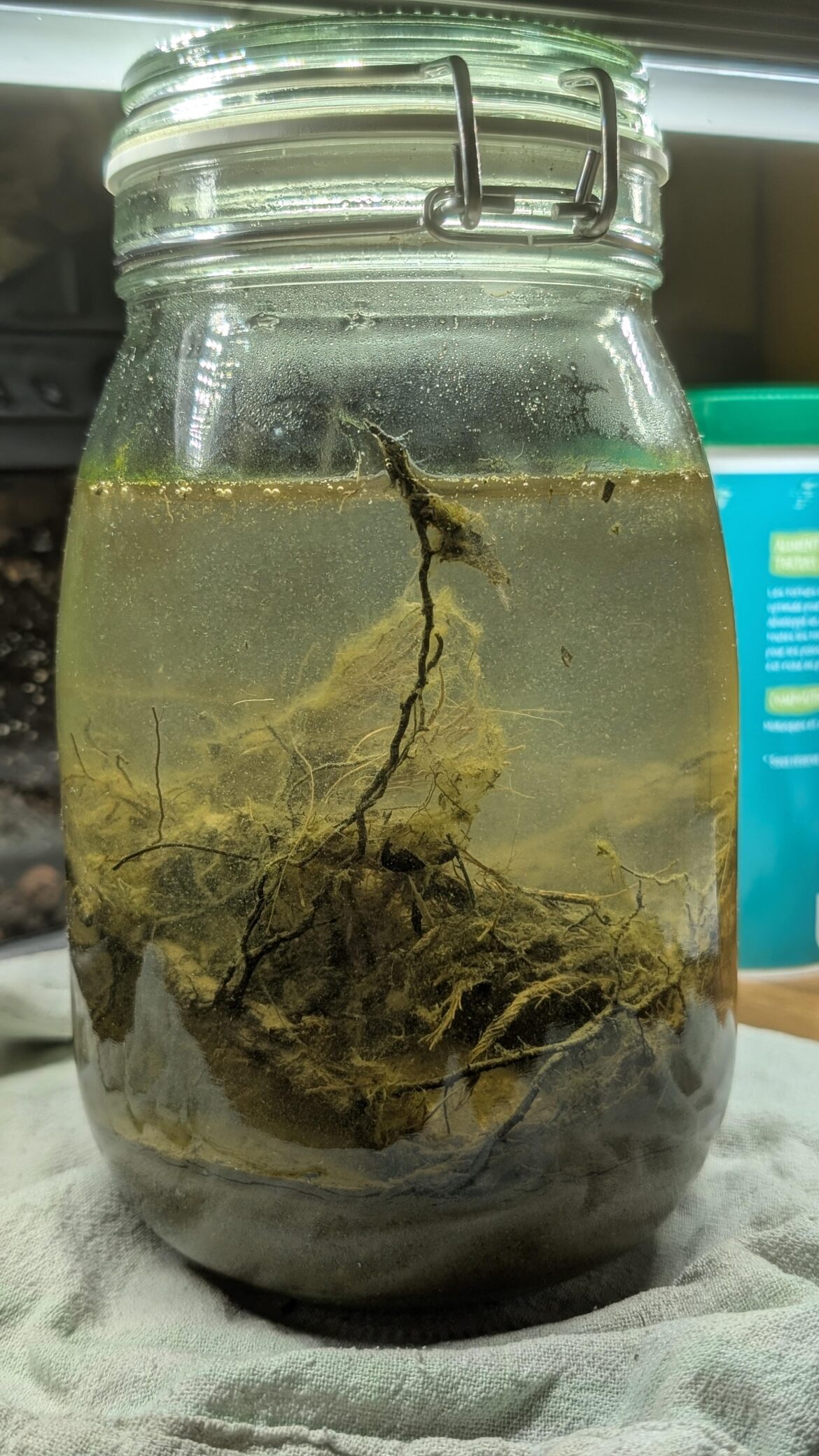 Day 5 doing good ?