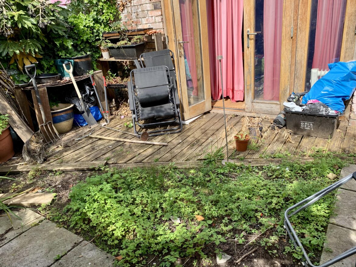 Filling a hole and making a wildflower lawn? Filling a hole and making a wildflower lawn?