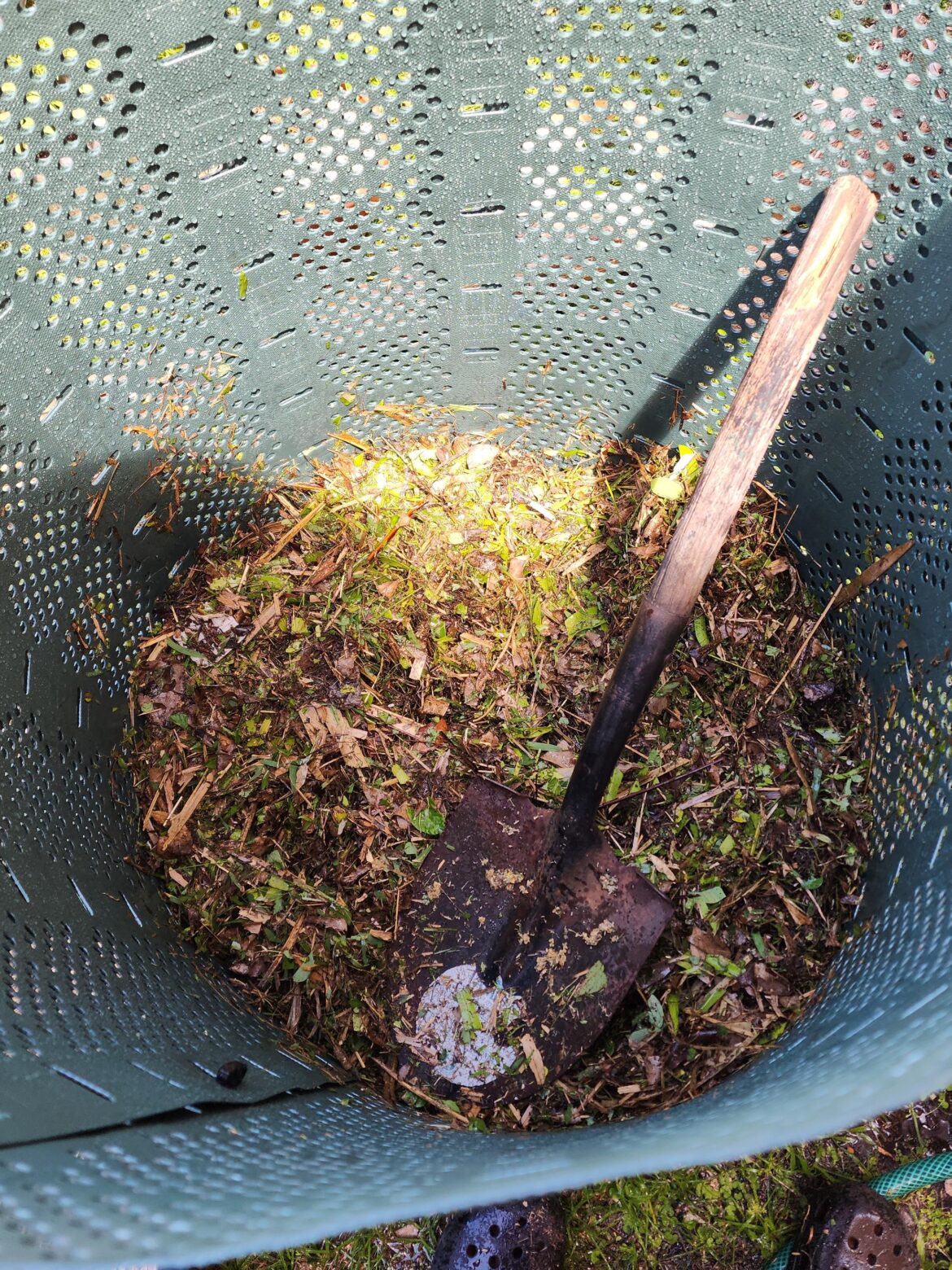 My first compost bin, does the ratio of nitrogen to carbon look good?