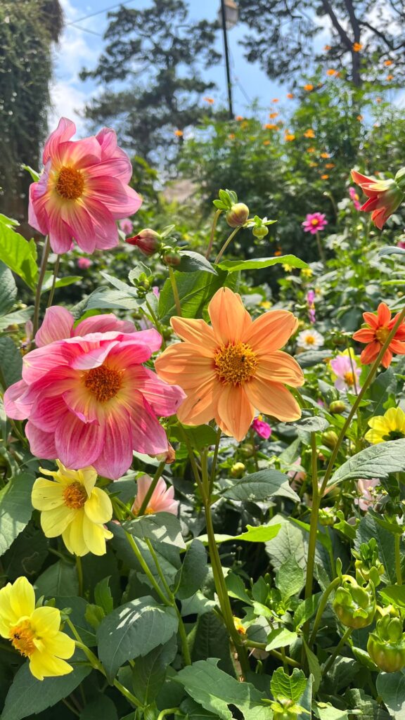 Botanical Garden, Baguio City