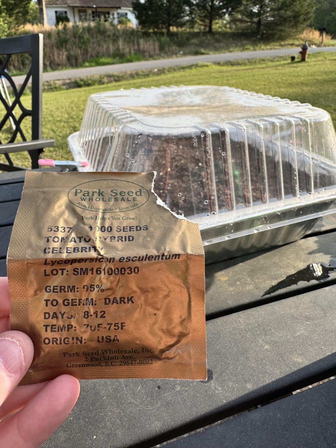 Is it too late to start from seed?