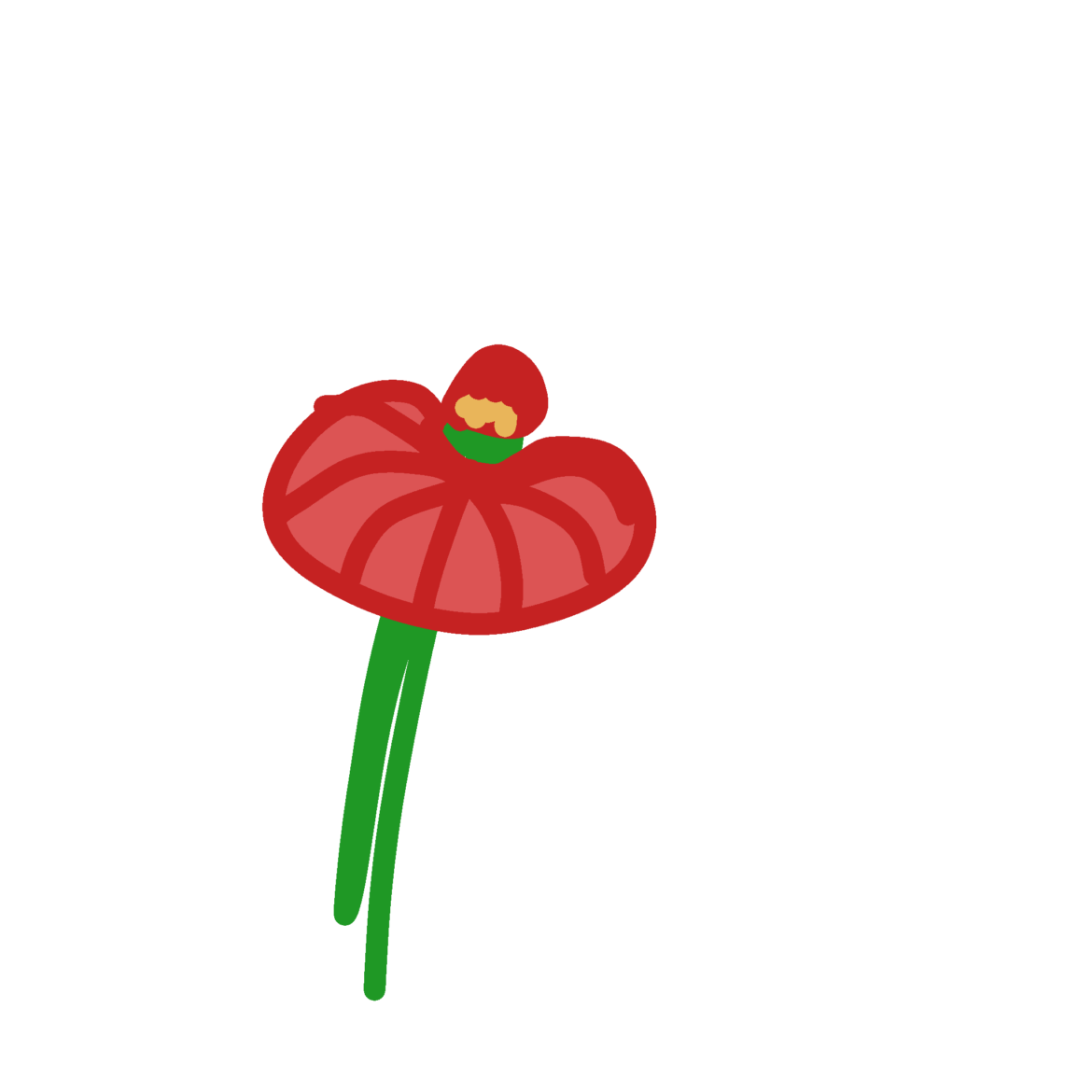 I'm so sorry if this is against the rules, but I cannot figure out what flower this was that I saw.
