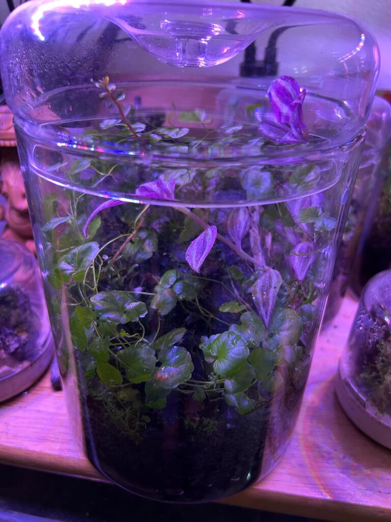 2 Month Update (pre-trim)