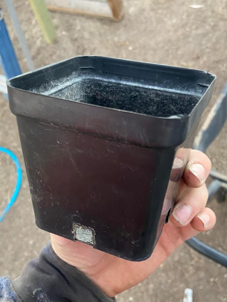 Help me find where to buy this exact pot