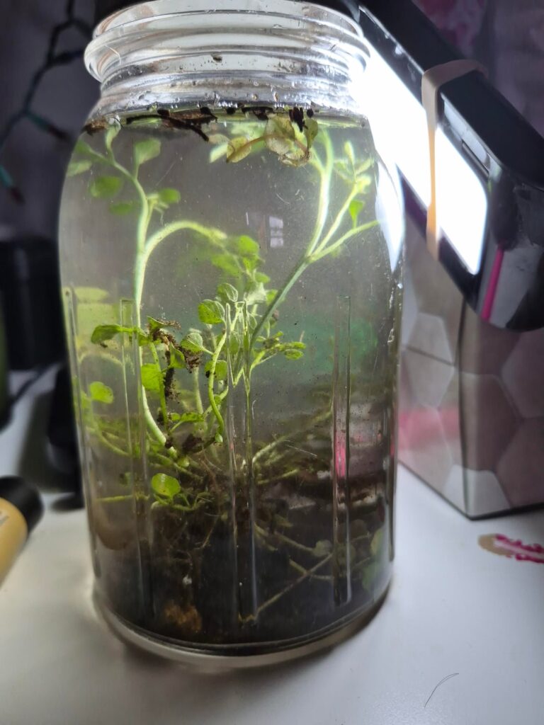 Just started. is this okay?