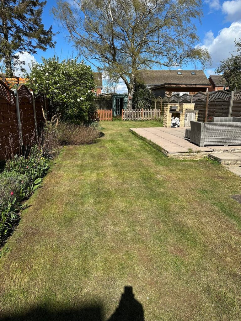 Lawn scarified, thoughts on my next actions? Lawn scarified, thoughts on my next actions?