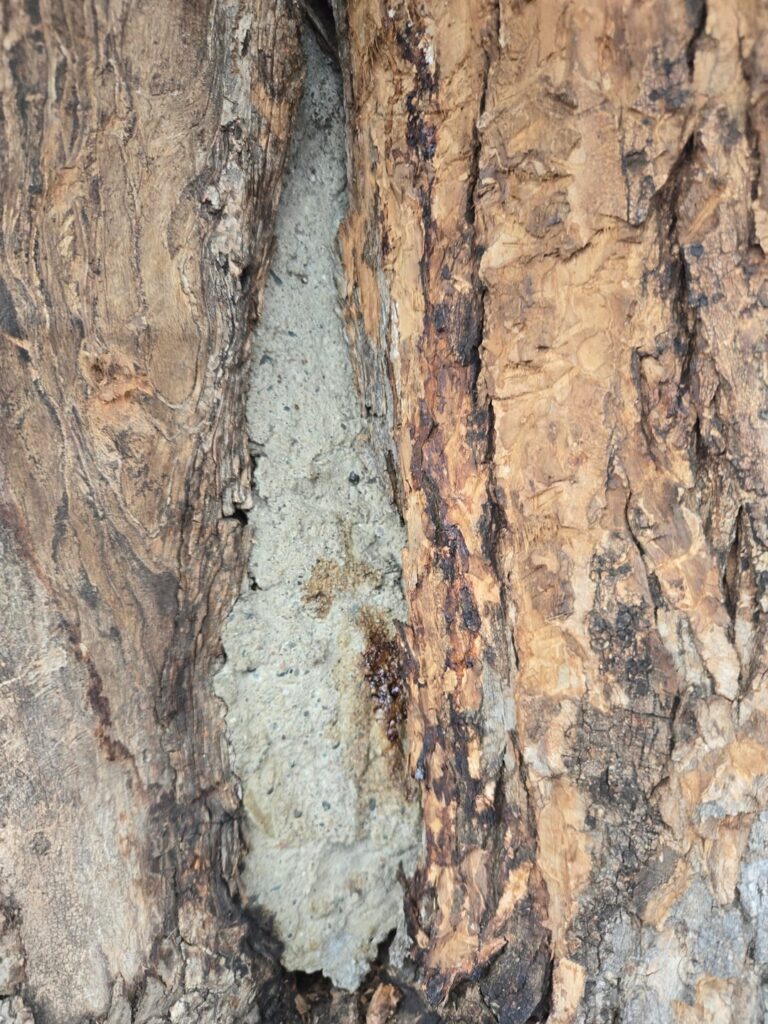Concrete filling?