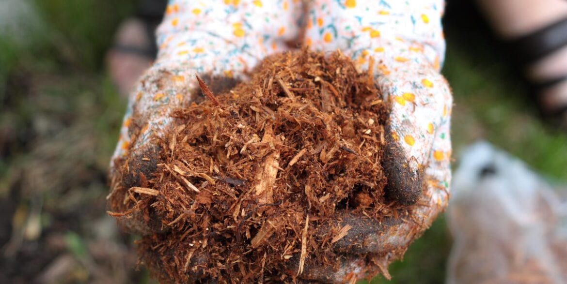 Experts Agree: This Is the Right Way to Mulch Your Lawn This Season Experts Agree: This Is the Right Way to Mulch Your Lawn This Season