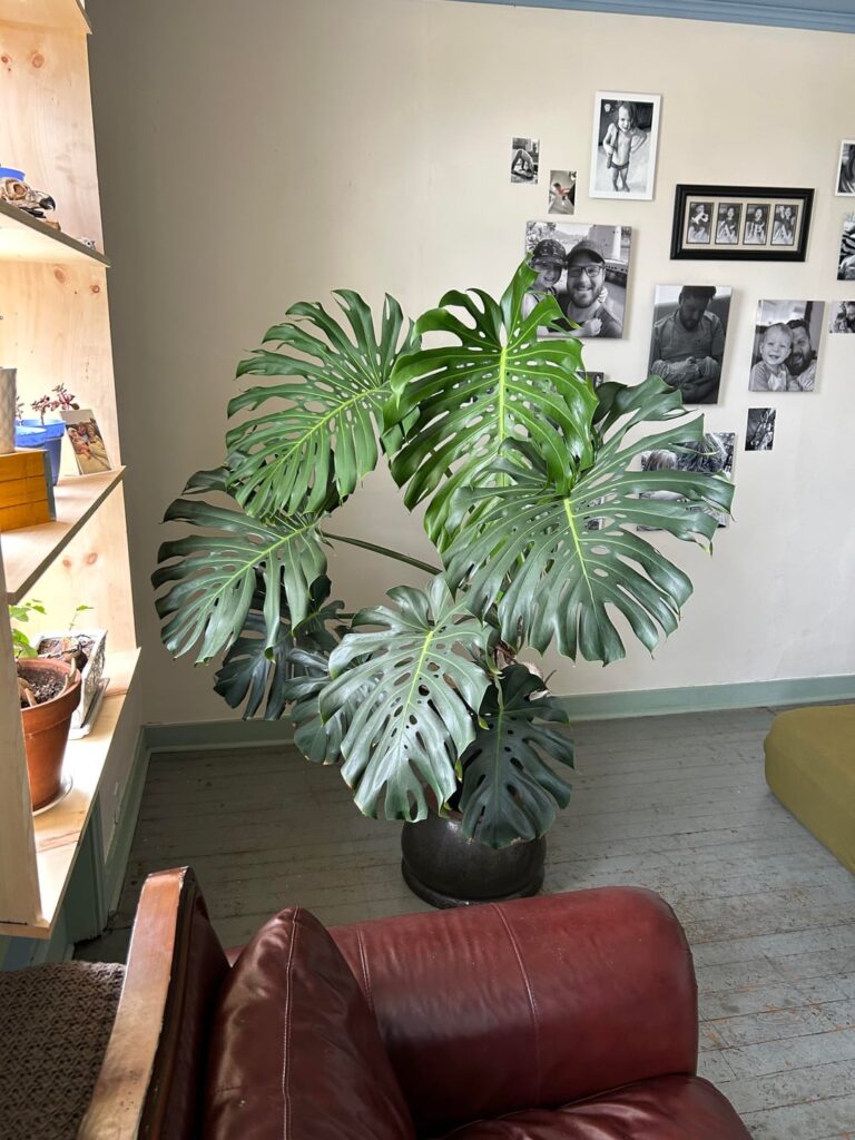 Moved the big guy to a new spot
