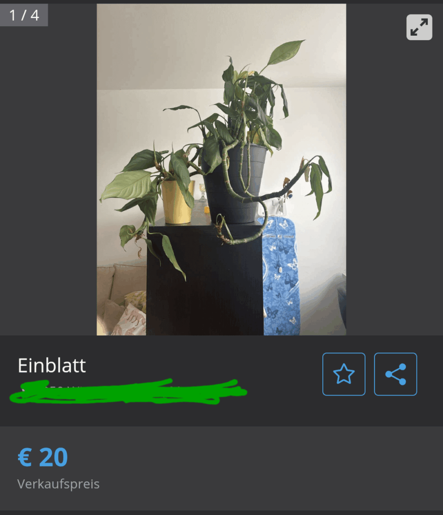 What a steal! Only 20€