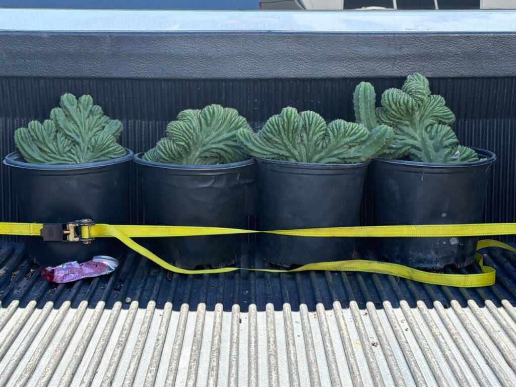 Home Depot sure came through this time!!!