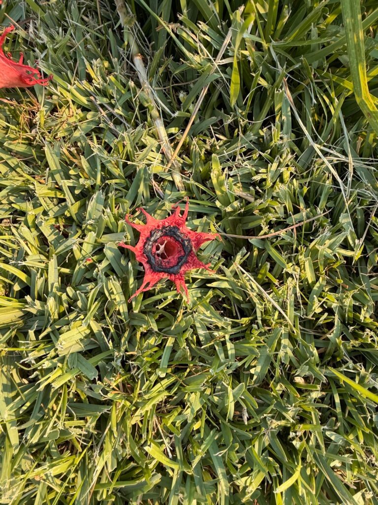 What is it?