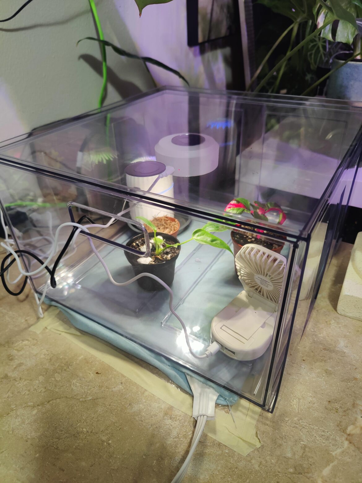 Diy humidity cabinet