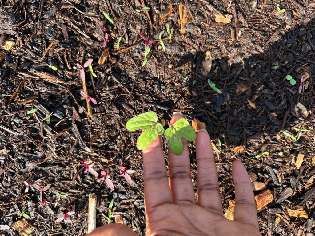 Please help a newbie out!