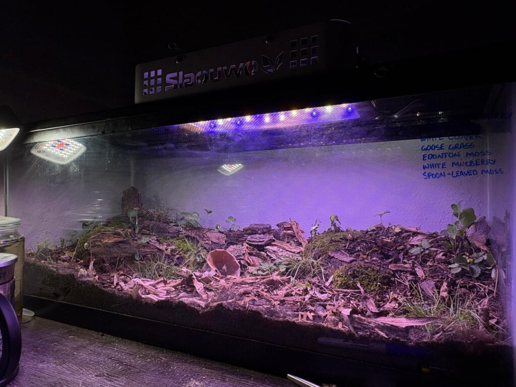 Update on temperate rainforest (OK 7b) ecosphere