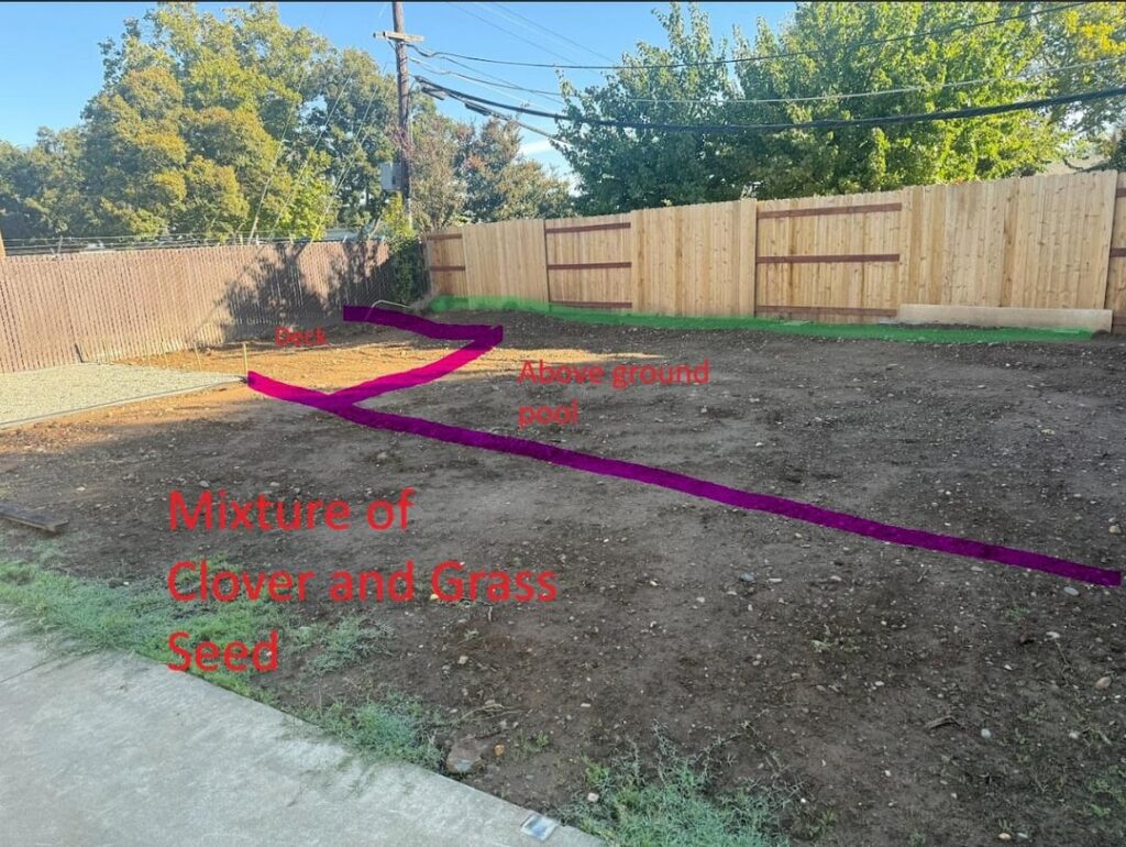Landscaping Advice for Backyard