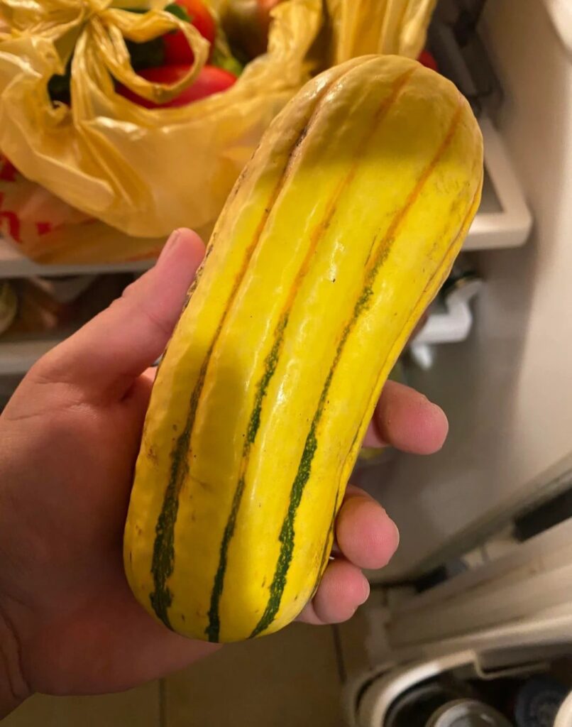 What's this Veg??