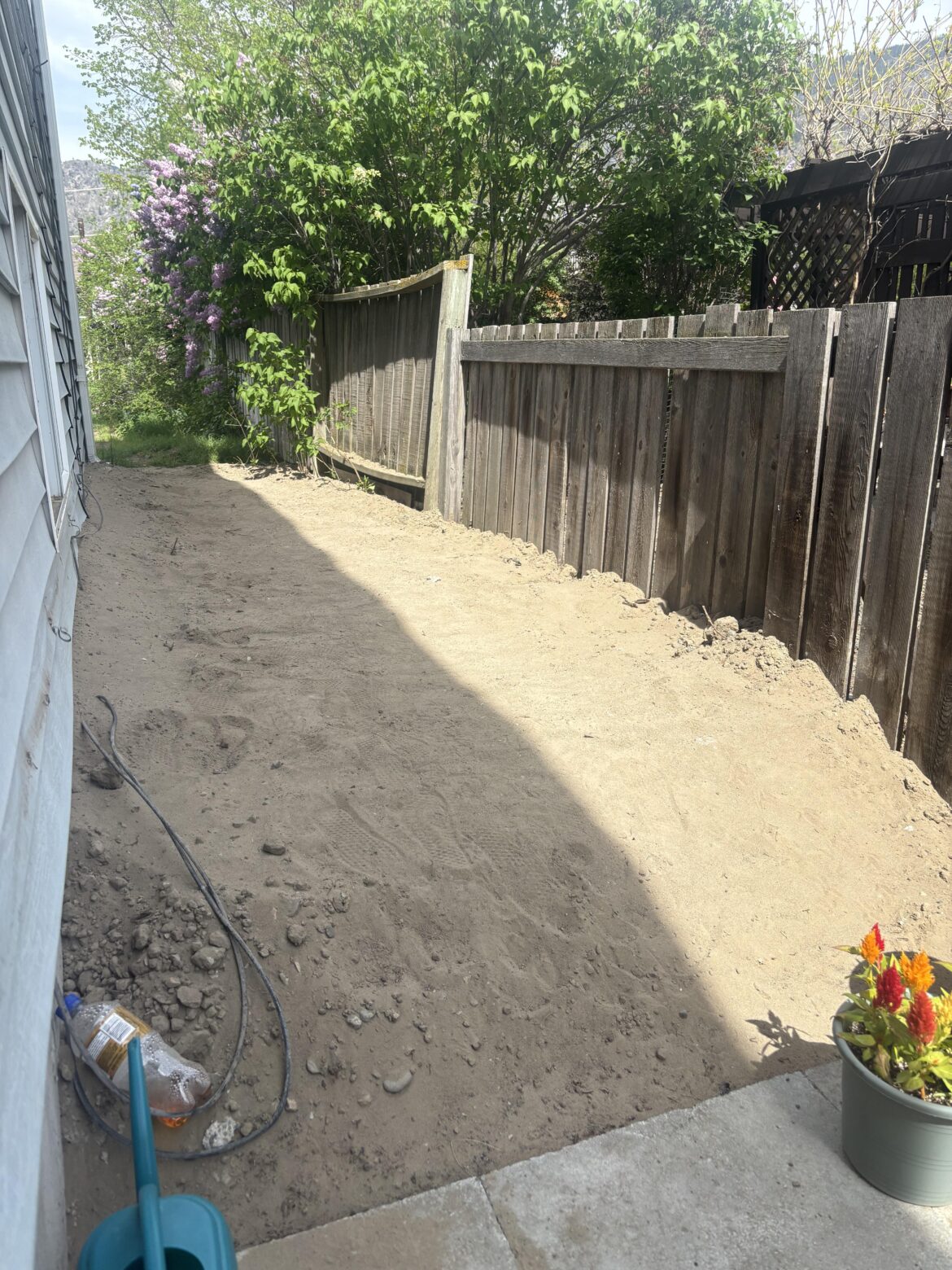 what’s the best way to turn this pile of sand to grass? what’s the best way to turn this pile of sand to grass?