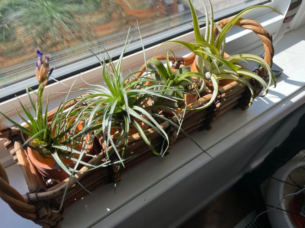 Got some new friends! Got some new friends!