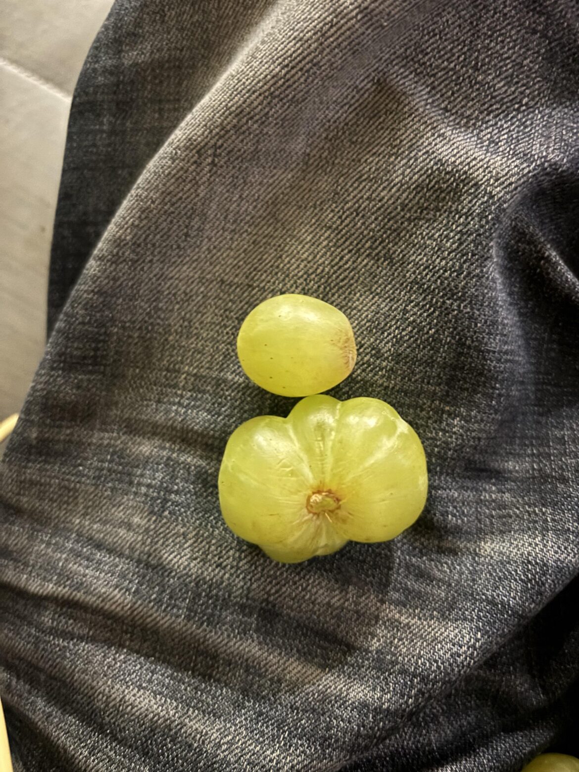 Grape absolute unit.